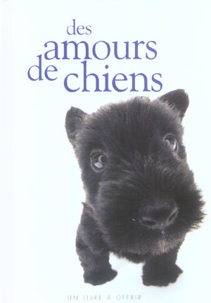 Des amours de chiens