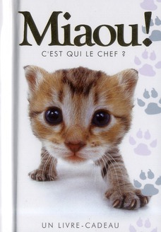 Miaou