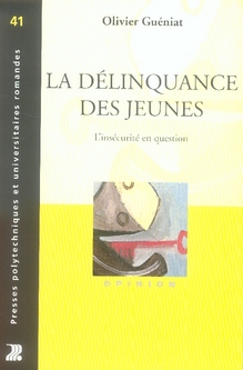 La délinquance des jeunes. L'insécurité en question