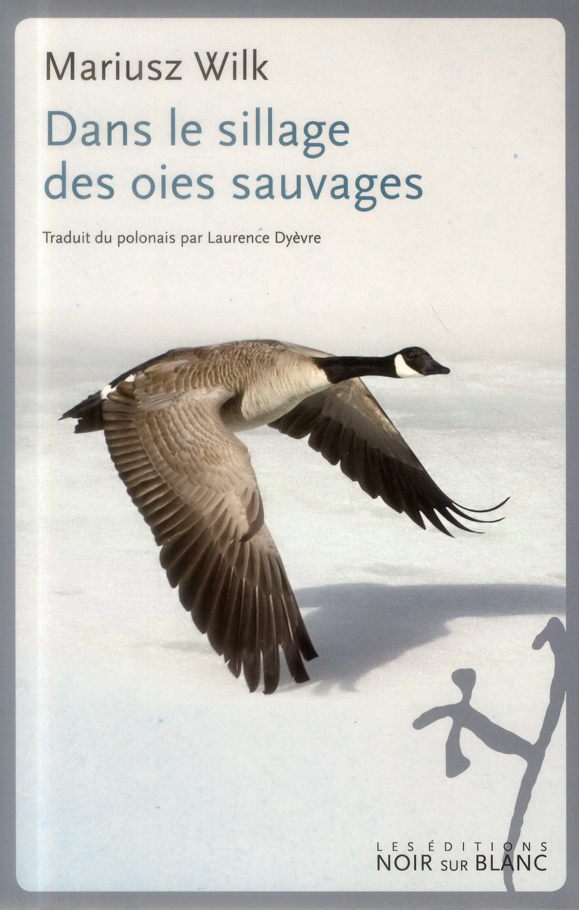 Dans le sillage des oies sauvages