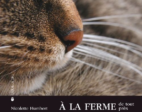 A la ferme: de tout près
