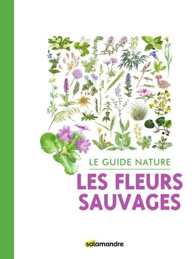 Les fleurs sauvages