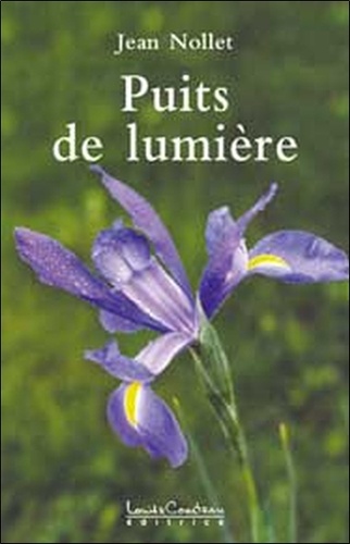 Puits de lumière