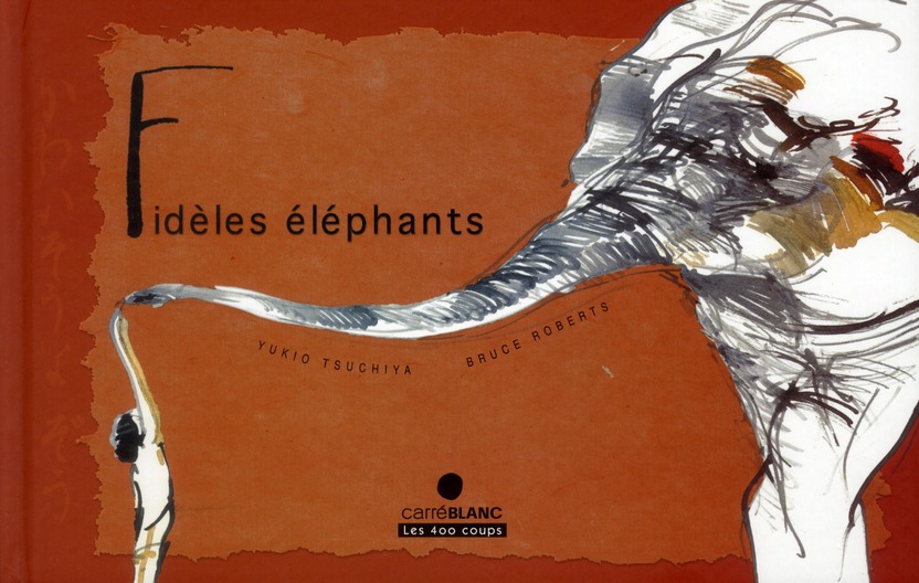 Fidèles éléphants