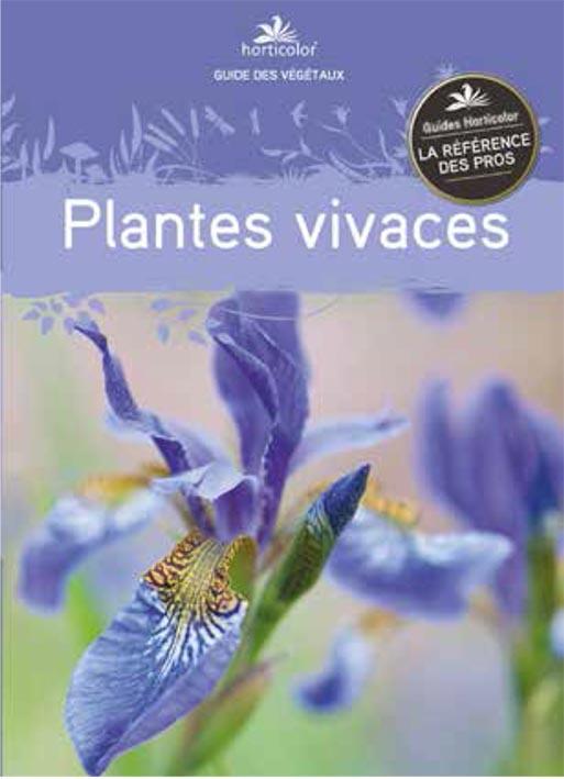Guide des plantes vivaces