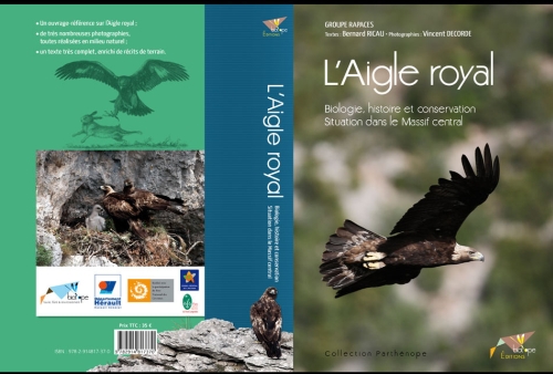 L'Aigle royal / Biologie, histoire et conservation, Situation dans le Massif central