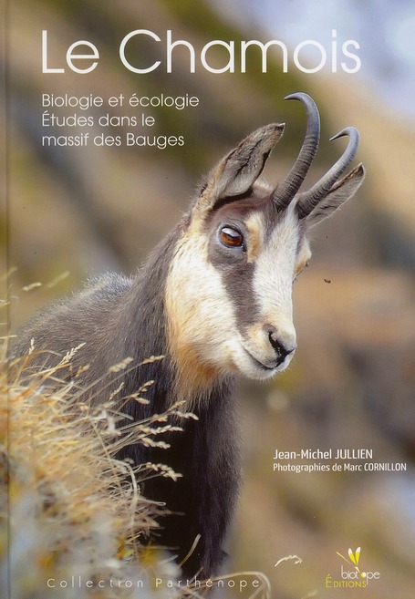 Le Chamois / Biologie et écologie - Etudes dans le massif des Bauges