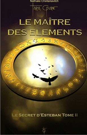 Le secret d'Esteban. Tome 2, Le maître des éléments
