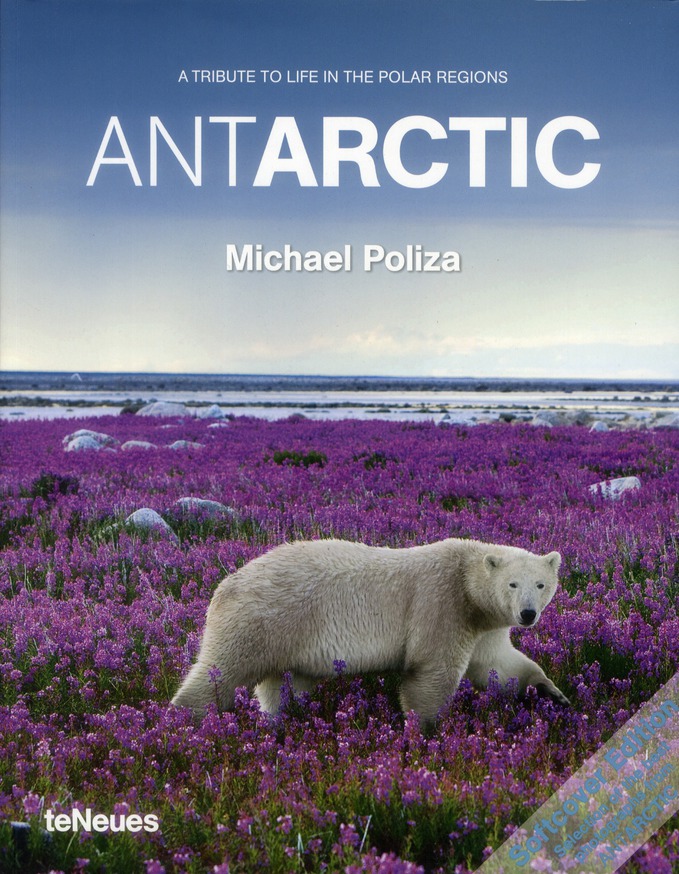 ANTARCTIC - A TRIBUTE TO LIFE IN THE POLAR REGIONS