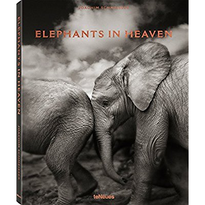 Elephants in Heaven. Edition français-anglais-allemand