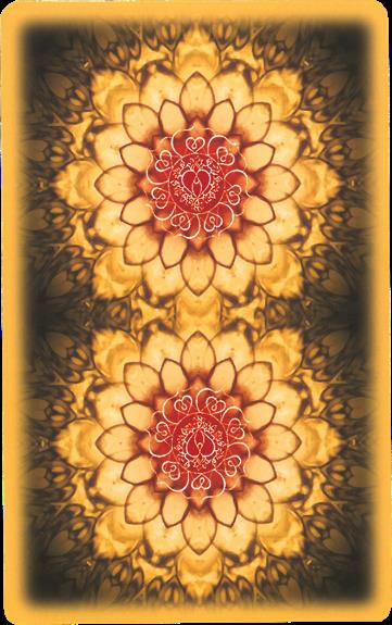 Anges du karma Oracle