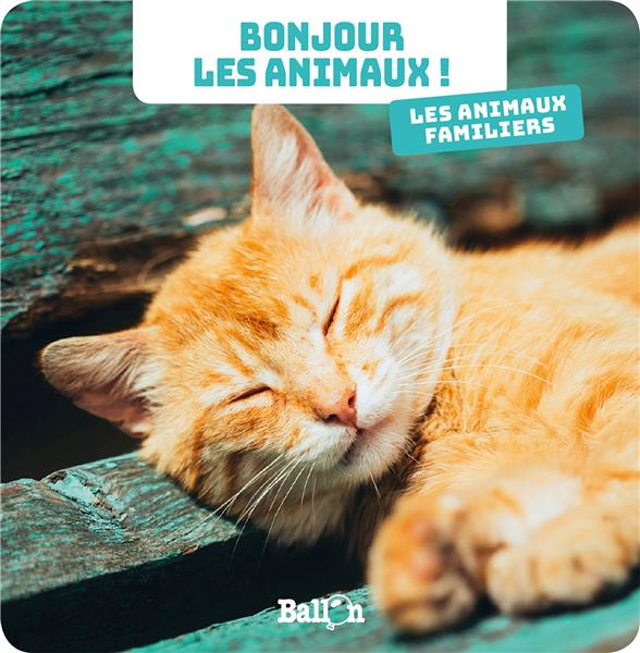 Bonjour les animaux ! Les animaux familiers