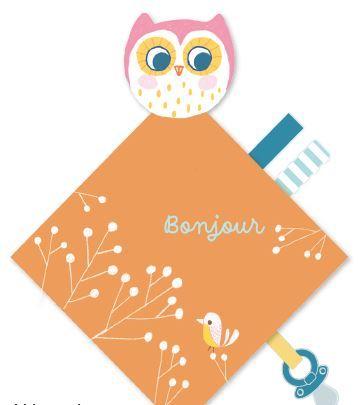 Mon petit hibou livre doudou