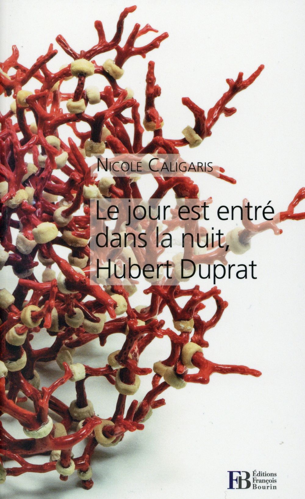 Le jour est entré dans la nuit, Hubert Duprat