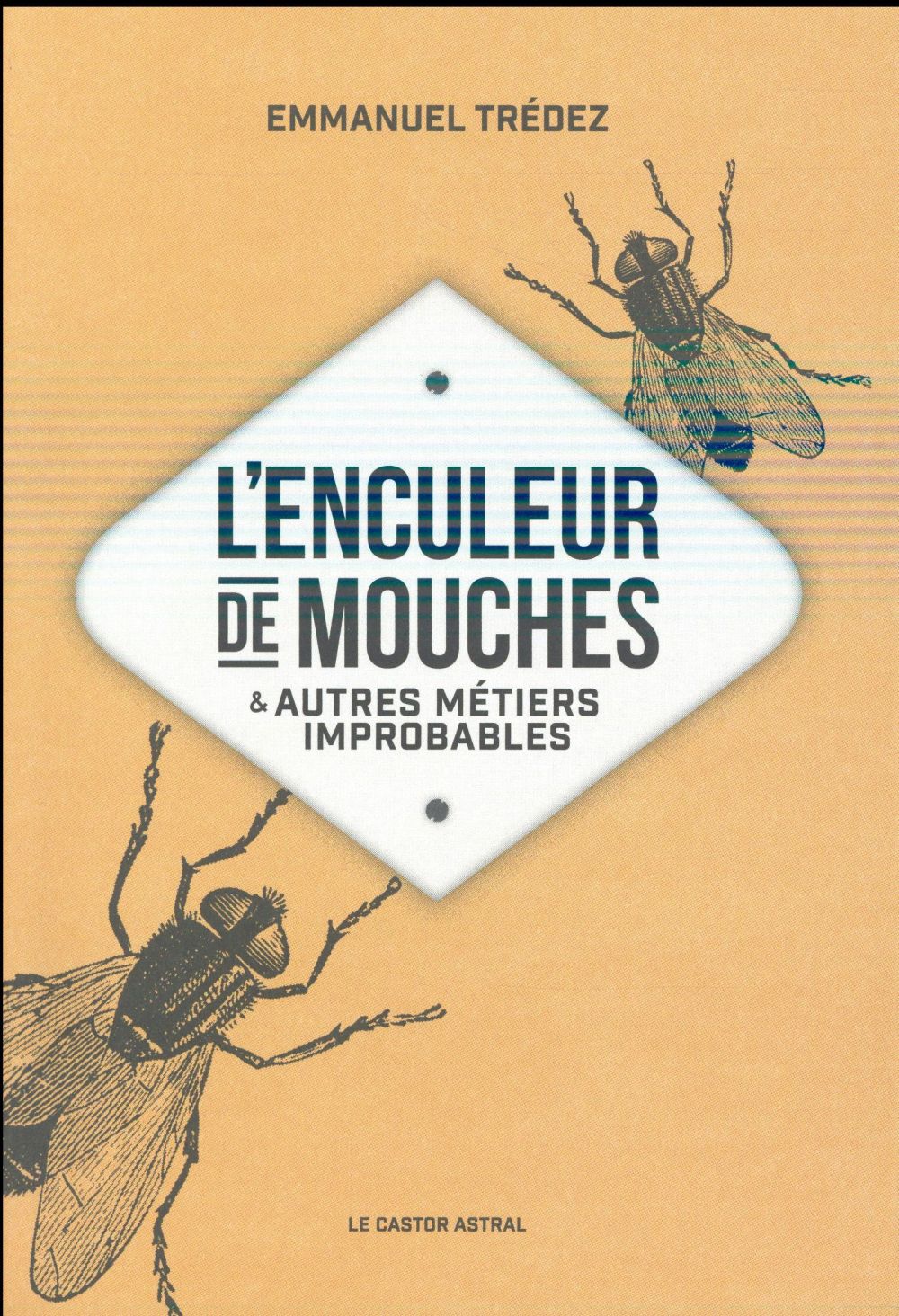 L'enculeur de mouches