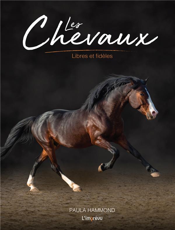 Les Chevaux. Libres et fidèles