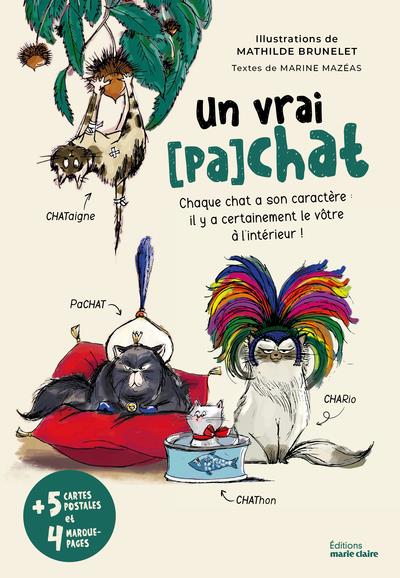 Un vrai (pa)chat. Chaque chat a son caractère : il y a certainement le vôtre à l'intérieur !