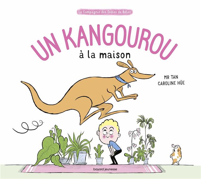 UN KANGOUROU A LA MAISON