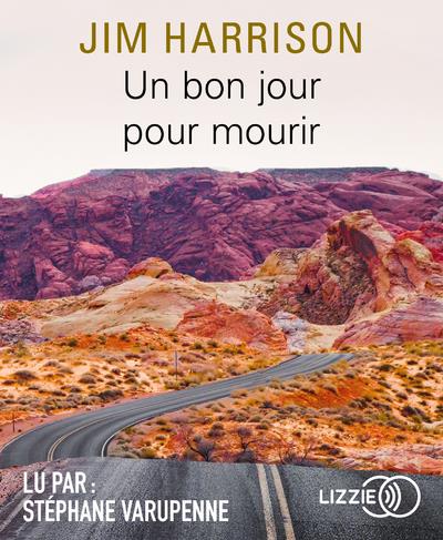 Un bon jour pour mourir. 1 CD audio MP3