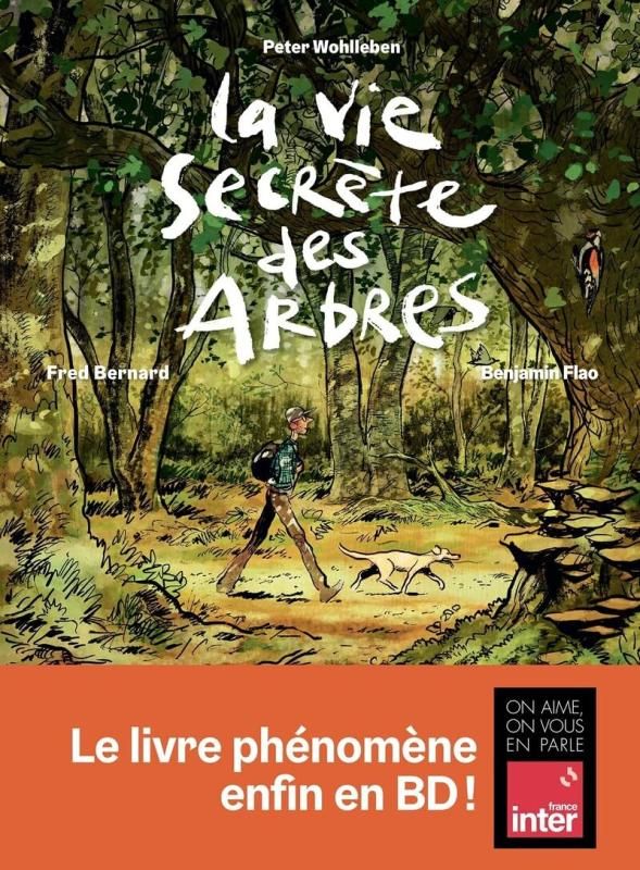 La vie secrète des arbres (bande dessinée)