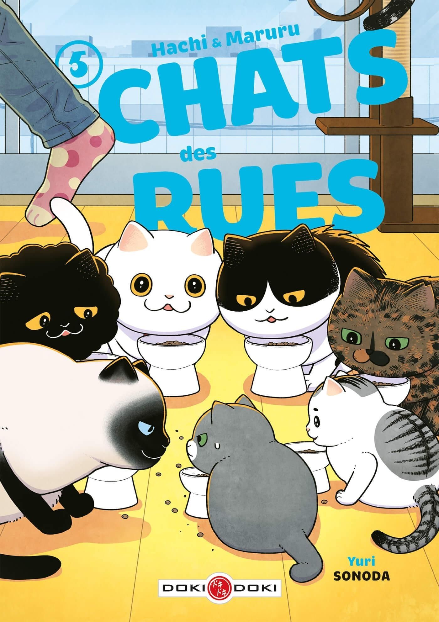 Chats des rues - Hachi & Maruru Tome 5