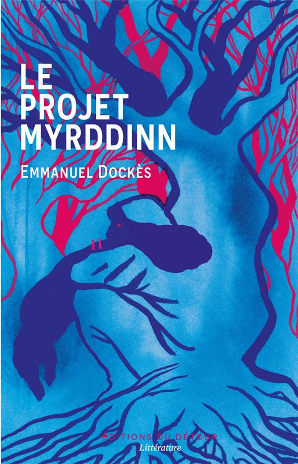 Le projet Myrddinn
