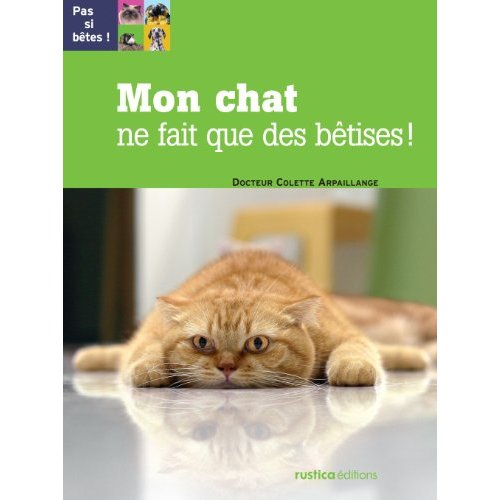 Mon chat ne fait que des bêtises !