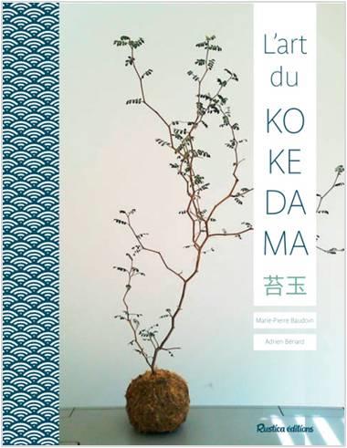 L'art du kokedama
