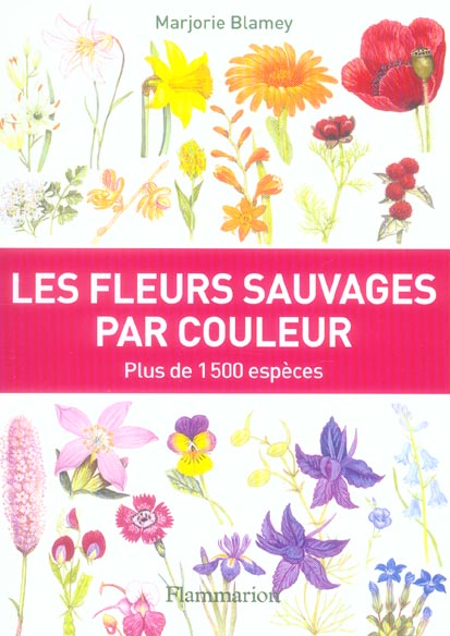 Les fleurs sauvages par couleur