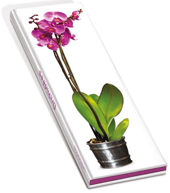 Orchidées