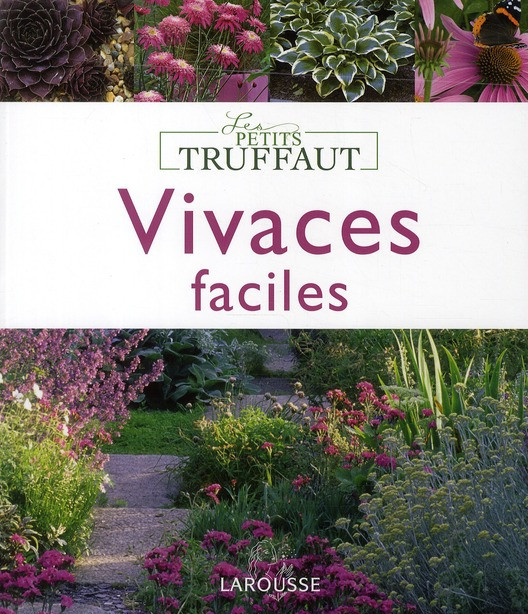 Vivaces faciles
