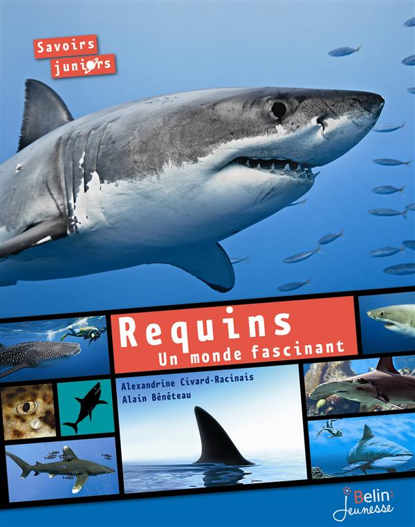 Requins. Un monde fascinant