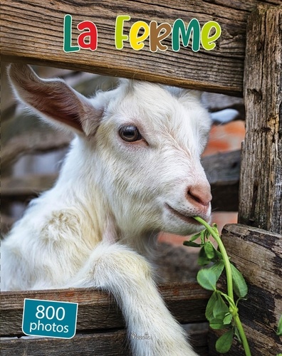 La ferme. 800 photos