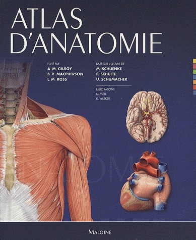 Atlas d'anatomie