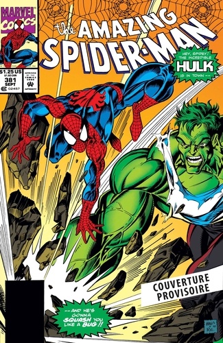 Web of Heroes Collection Tome 3 : Spider-Man & Hulk