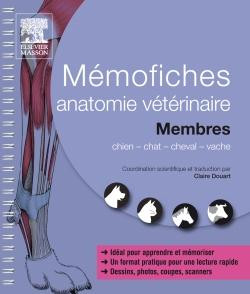 Anatomie vétérinaire