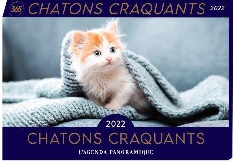 L'agenda panoramique chatons craquants. Edition 2022