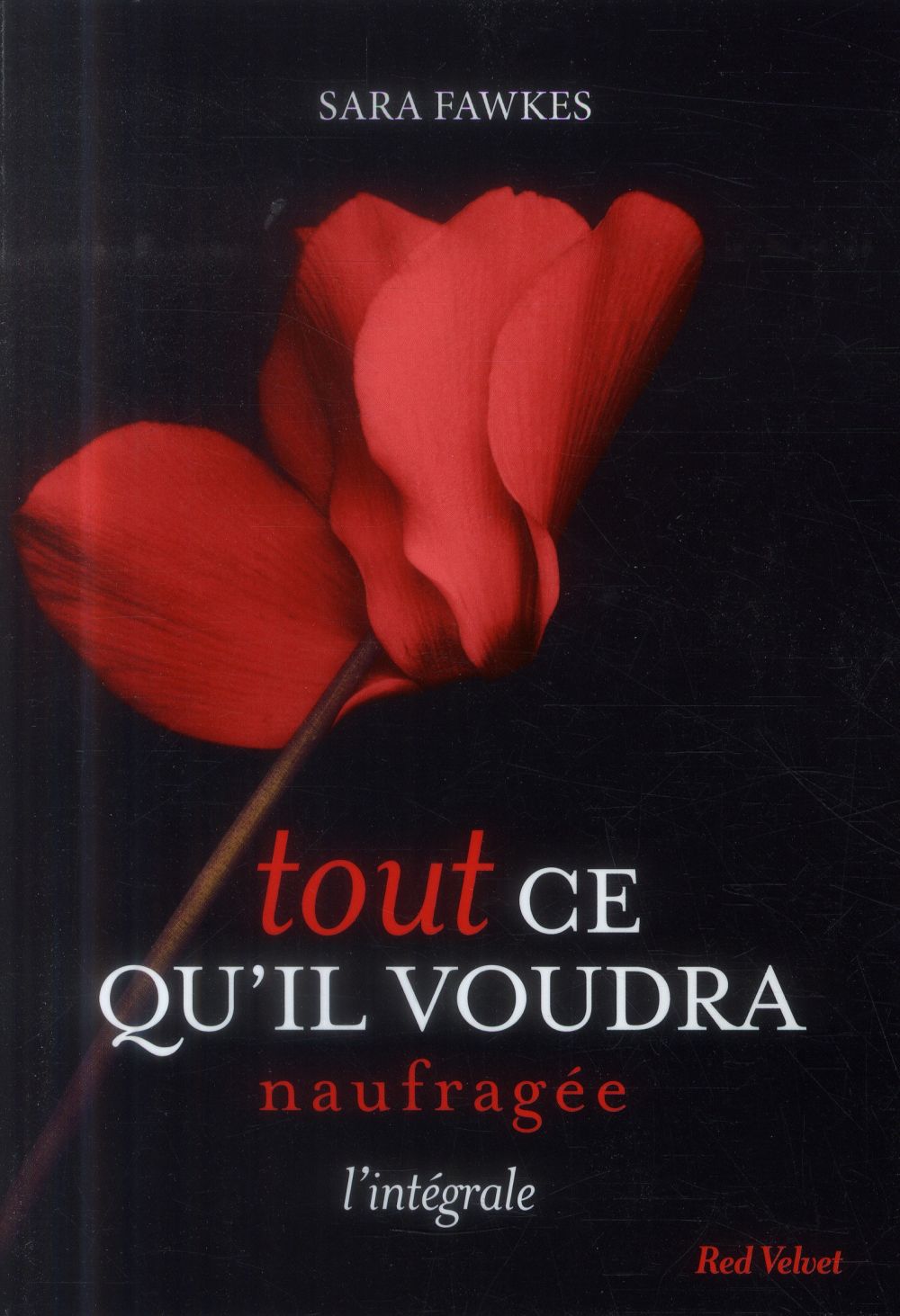 Tout ce qu'il voudra/Naufragée/L'intégrale / suite et fin de la série érotique Tout ce qu'il voudra