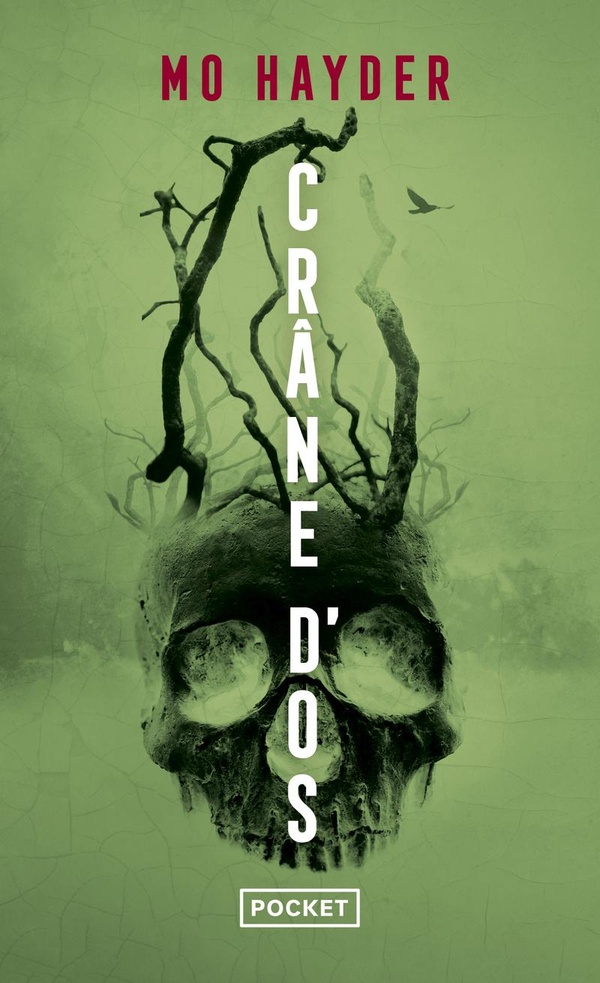 Crâne d'os