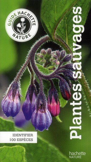 Plantes sauvages / Identifier 100 espèces