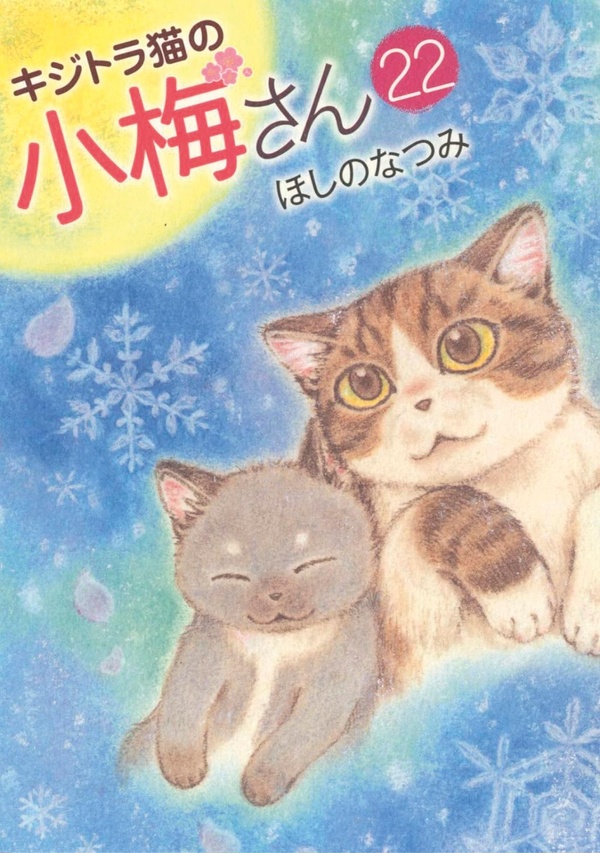 Plum, un amour de chat Tome 22