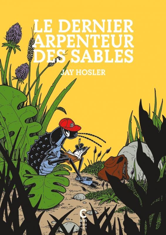Le dernier arpenteur des sables