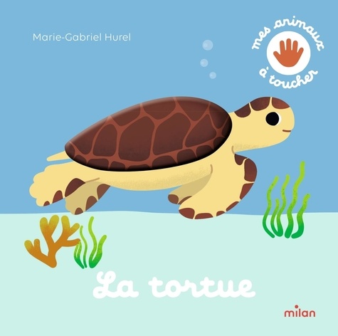 La tortue
