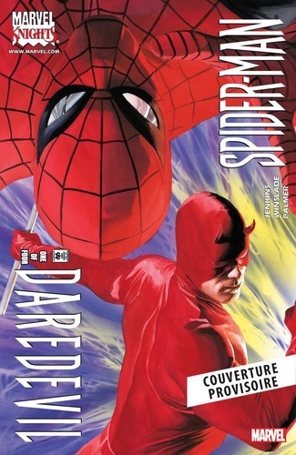 Web of Heroes Collection Tome 9 : Spider-Man & Daredevil