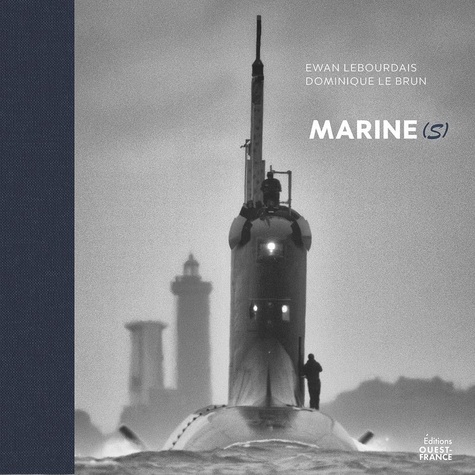 Marine(s). Dans le viseur du peintre officiel