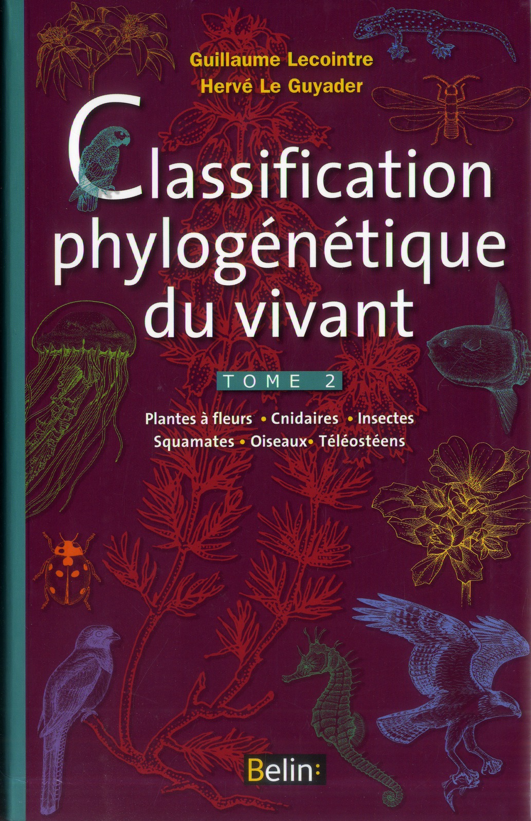 Classification phylogénétique du vivant. Tome 2, Plantes à fleurs, Cnidaires, Insectes, Squamates, O