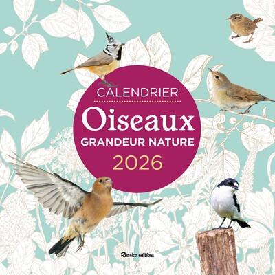 Calendrier Oiseaux grandeur nature. Edition 2026