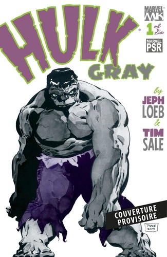 Hulk : Gris