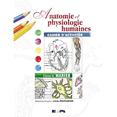Anatomie et physiologie humaines. Cahier d'activités