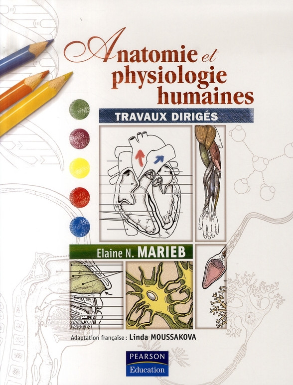 Anatomie et physiologie humaines. Travaux dirigés